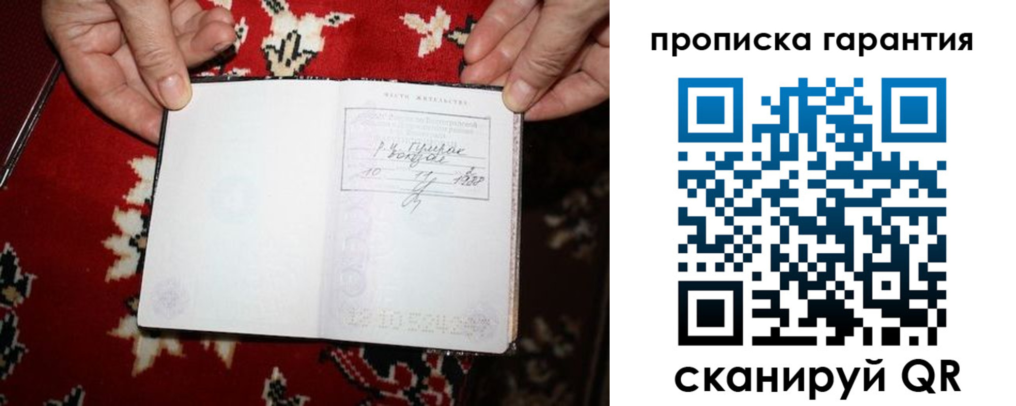 прописка гарантия в Звенигороде